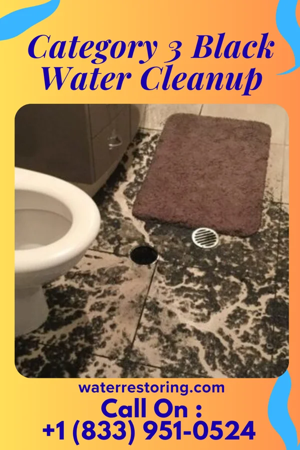 Category 3 Black Water Cleanup in Munjor, KS